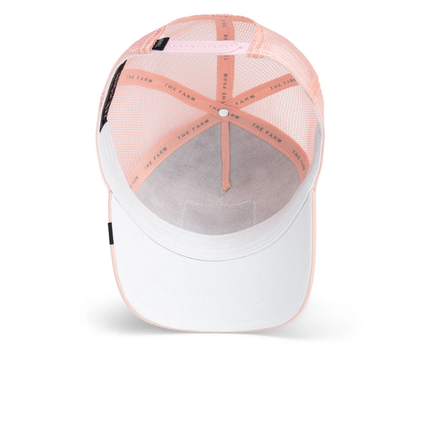 Toucan Mirage - Rooster 