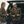 Allegheny Fleece Overshirt - Rooster 