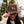 Bird Dog Waxed Canvas Hat Brown - Rooster Bus