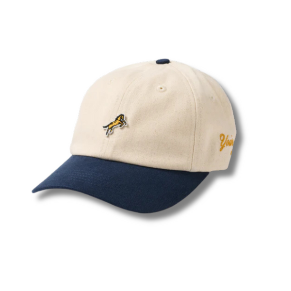 Bozeman Dad Hat - Rooster 