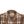 Rooster Flannel - Long Haul Fit – Mesquite