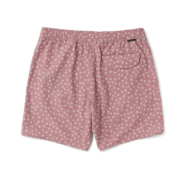 Bongos 16.5" Ecolastic - Rooster 