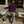 The Field Pant Off Duty Drab - Rooster 