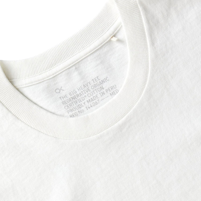 The S/S Big Heavy Tee – Salt