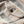 Blanket Shirt High Desert Sands - Rooster 