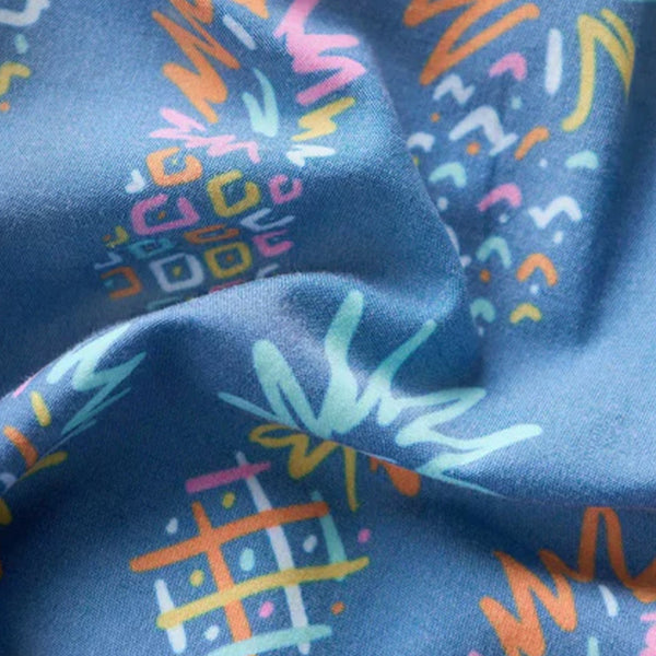The Pineapple Sketches 5.5" (Classic Lined Swim Trunk) - Rooster 