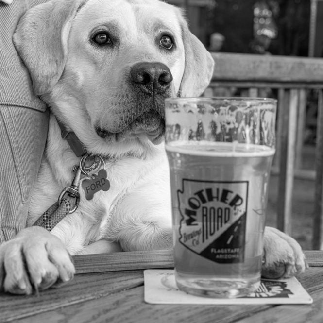 CRAFT BEER IN FLAGSTAFF