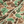 Ruff & Tuff Puff Jacket Camo - Rooster 