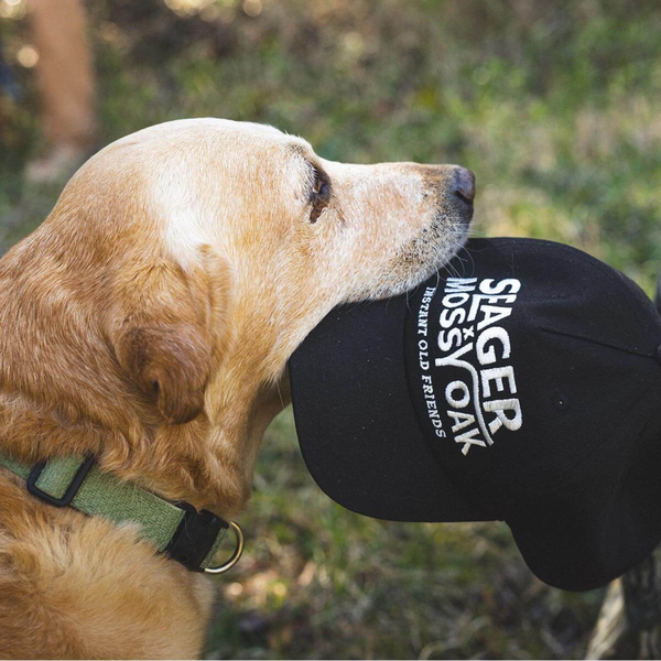 Seager x Mossy Oak I.O.F. Snapback - Rooster 