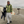 Task Coat - Rooster 