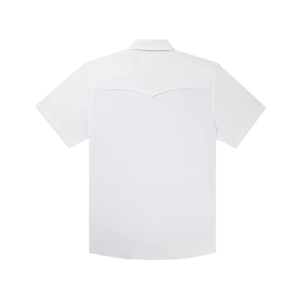 The Del Rio - Rooster 