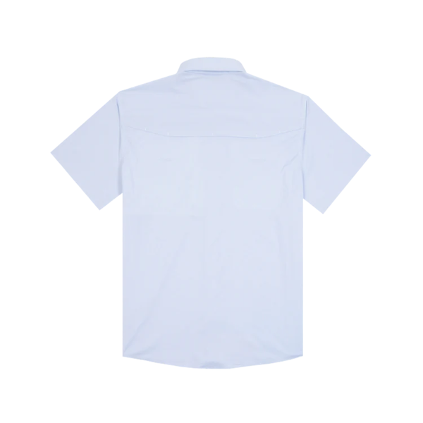 The Anchoa - Rooster 