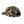 Uncle Bill Hemp Snapback Camo/Cream - Rooster 