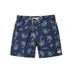 Kingston Volley - Rooster 