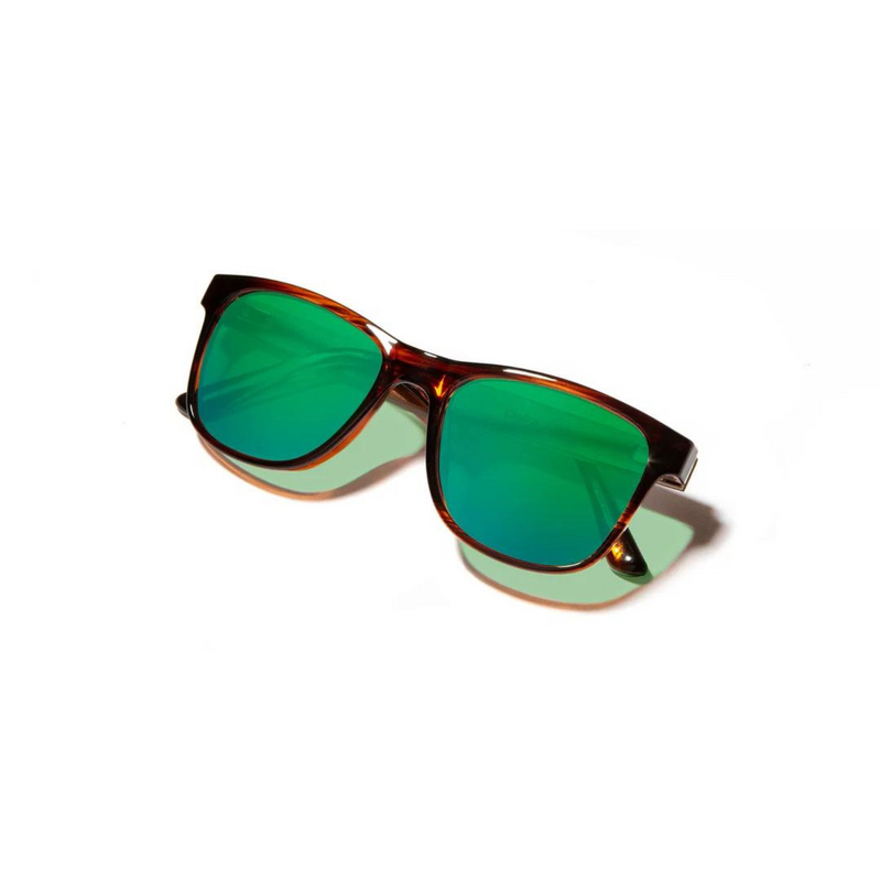 Trail – Tort/Walnut