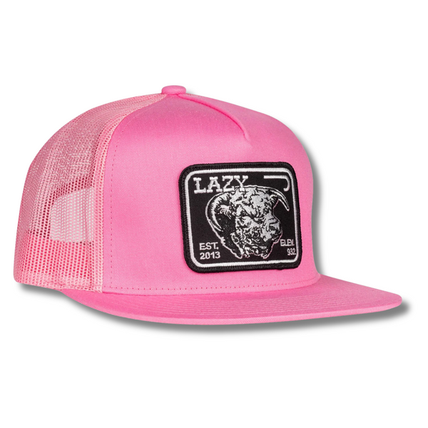 Pink & Black Elevation Trucker - Rooster 