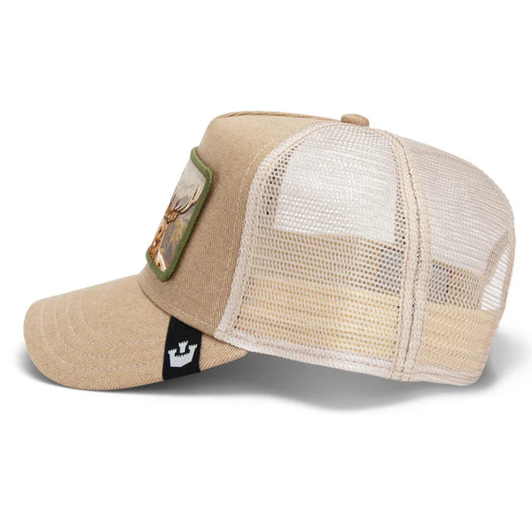 Buck Fever - Rooster 