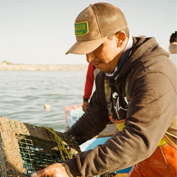 Wilson Waxed Canvas Snapback Tan - Rooster 