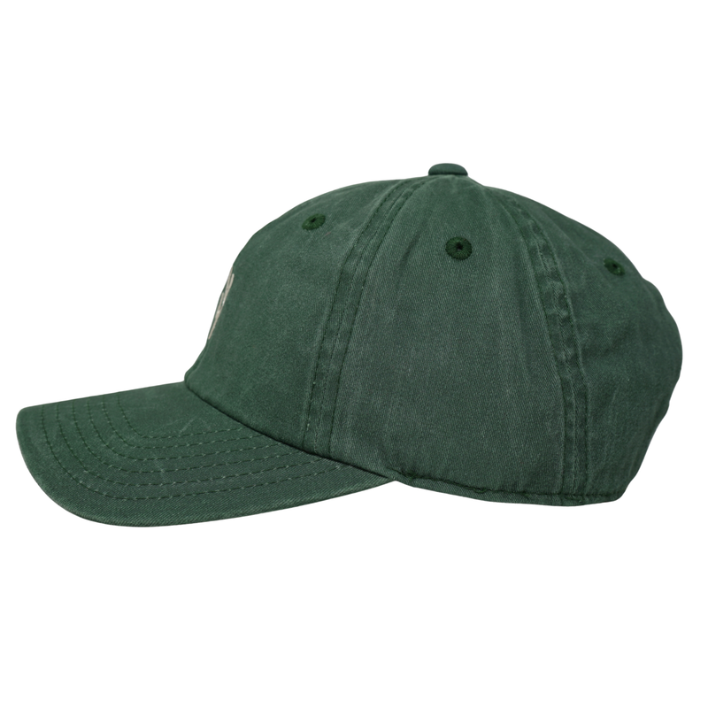 Washed Cactus Dad Hat - Rooster 