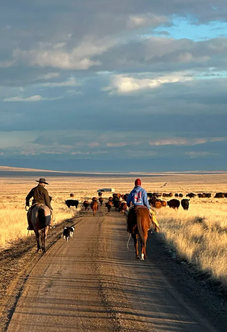 The Families Keeping Western Craftsmanship Alive