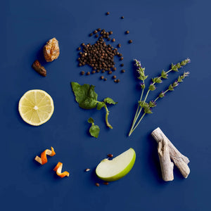 Blue Midnight Hydrating Body Lotion - Rooster 