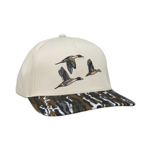 Chasin' Tail – RANCH - BEIGE