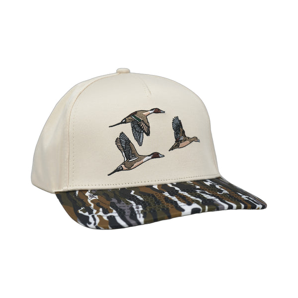 Chasin' Tail - Rooster 