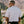 El Bruno Polo – Mineral White