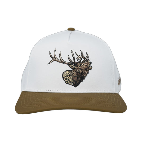 Elk - Rooster 