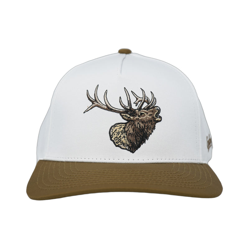 Elk - Rooster 