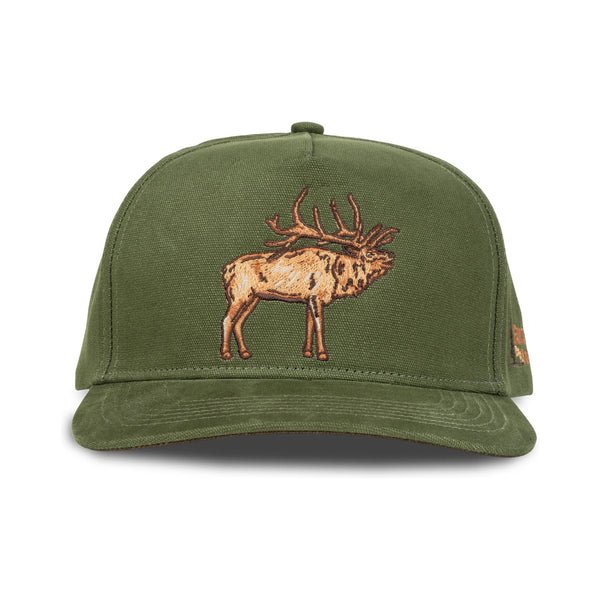 Front view of Sendero Elk Hat in green featuring a structured crown, curved brim, and embroidered elk patch on the front panel
