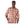 Jackson Button Up Shirt - Rooster 