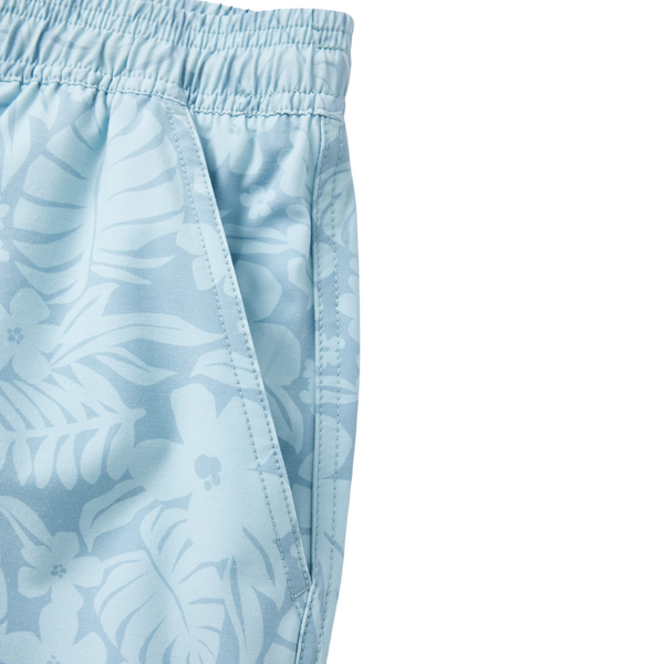 Don Volley - Rooster 