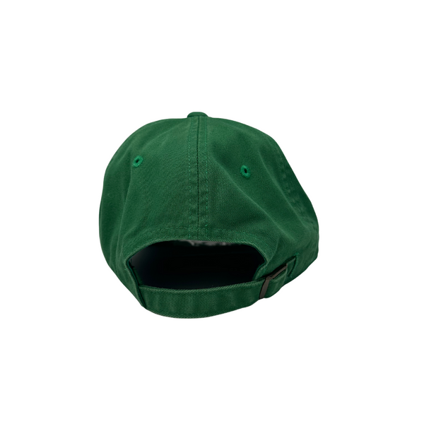 Arizona Dad Hat - Rooster 