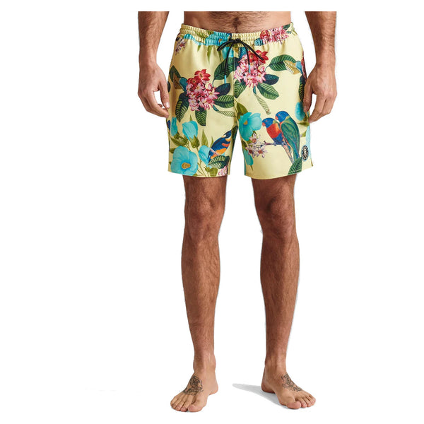 Shorey Boardshorts 16" - Rooster 