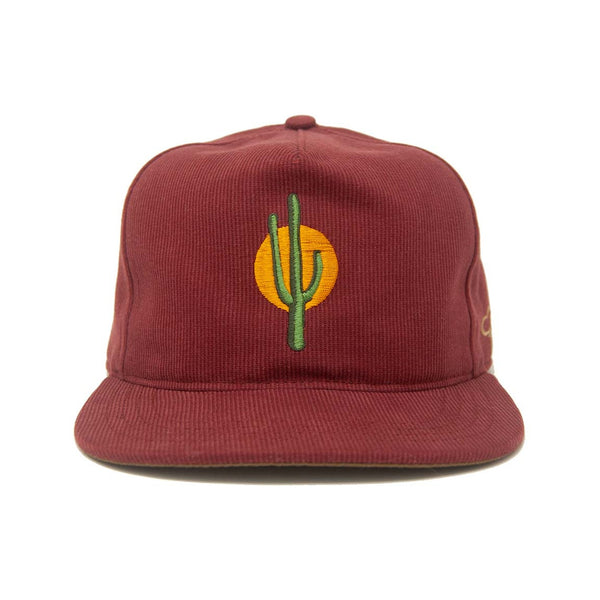 Sunset Cactus - Strapback - Rooster 