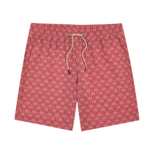 The Bayberry Trunk – Red Palms