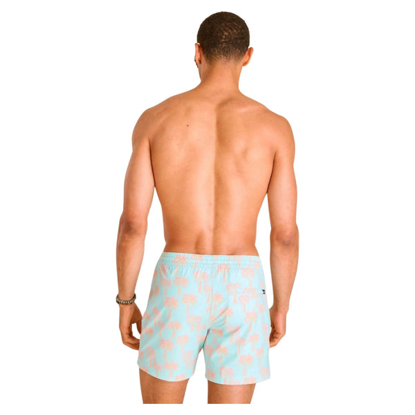 The Grooves 5.5" (Classic Lined Swim Trunk) - Rooster 