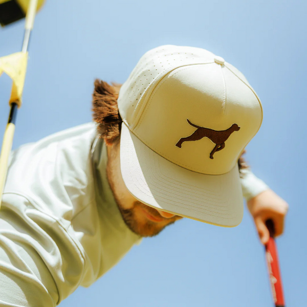 Person wearing the Waggle Bird Dog Hat on a golf course or during a casual round, styled for playful performance